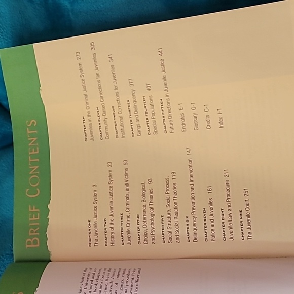 Juvenile justice policies programs & practices Strayer University paperback book - Picture 4 of 5